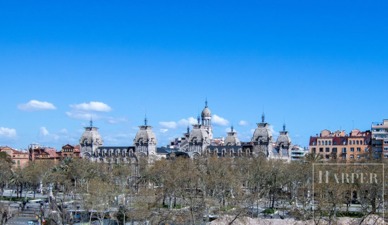 HVIAFB032203PisoVenderVenderBorn-13