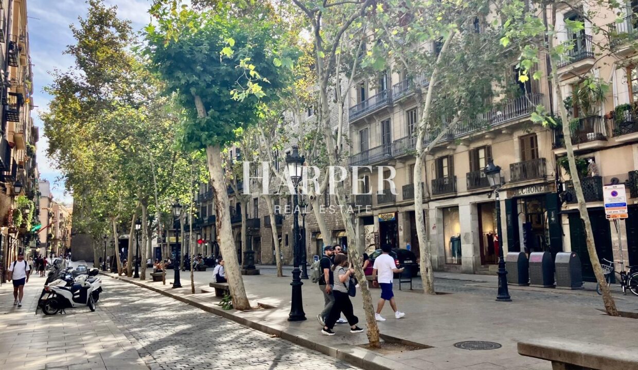 HSMJ160924PisoVenderVenderSant-pere-Santa-Caterina-i-la-Ribera-22