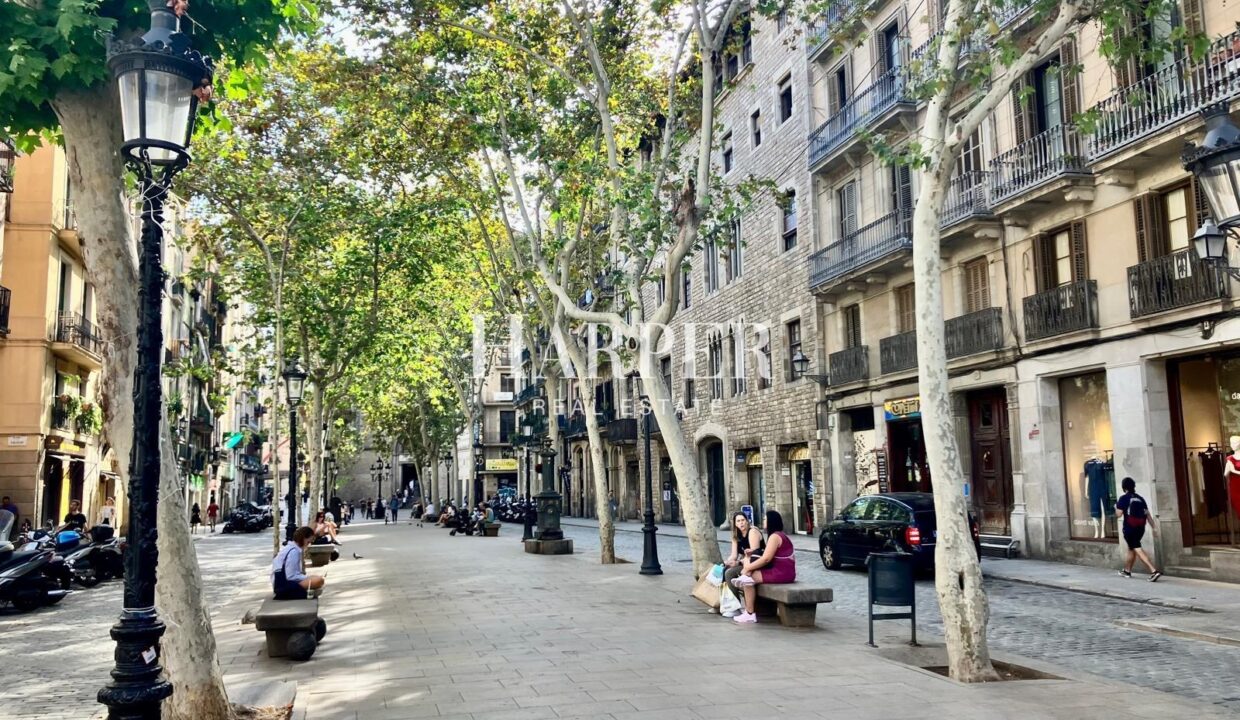 HSMJ160924PisoVenderVenderSant-pere-Santa-Caterina-i-la-Ribera-4